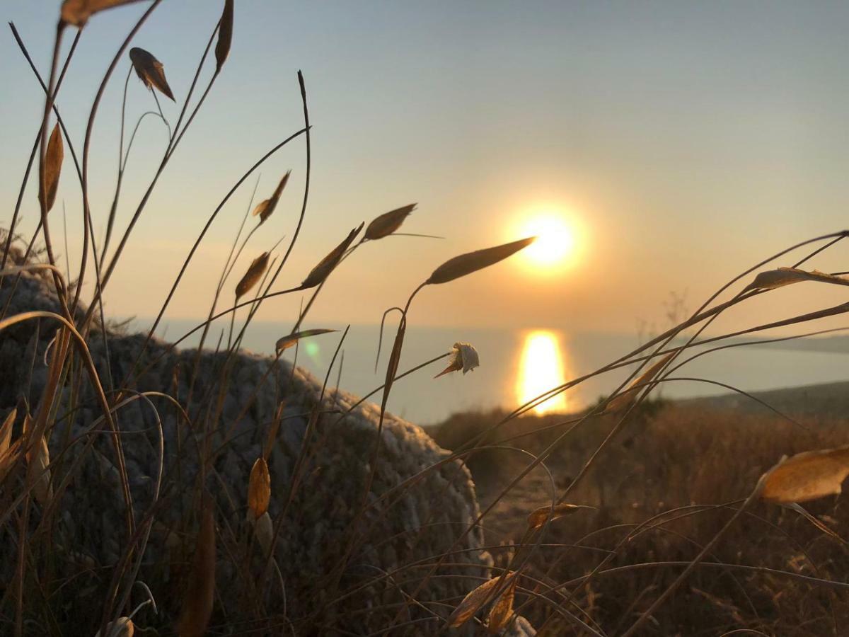 B&B L'Eden Di Capo Bianco Montallegro Dış mekan fotoğraf